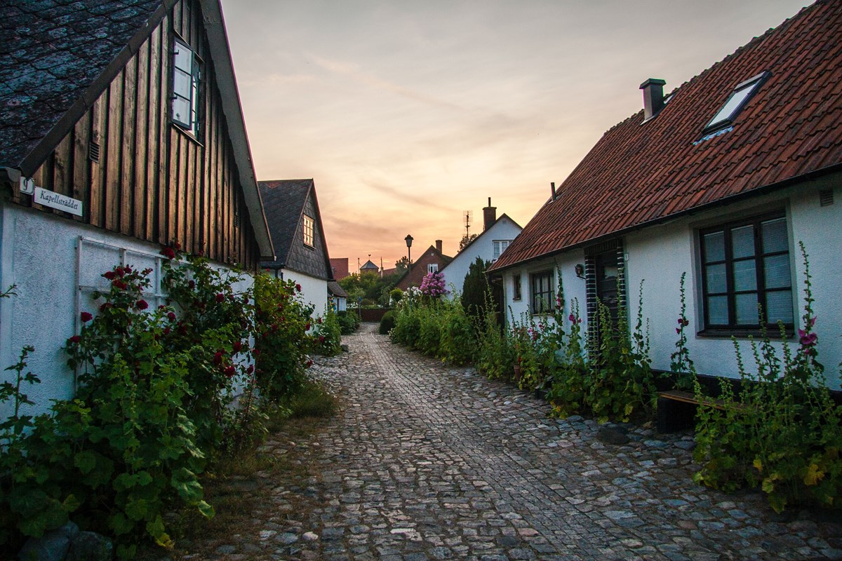 En bild på hus i somrig miljö